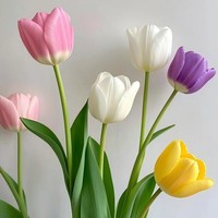 与花同行斗南鲜花基地郁金香鲜花送礼花束室内办公室家居水培鲜切花包邮 【20枝】随机单色郁金香 生花苞发货  养护后开放变大