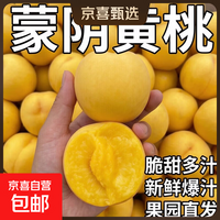 山东蒙阴黄桃蜜油桃脆甜桃子新鲜水果当季水果爆汁应季整箱批发 带箱5斤净重4.6斤（单果70g+）