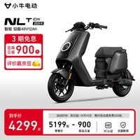小牛电动NLT Citi 电动自行车铅酸电池 新国标电瓶通勤成人代步自行车 到店自提