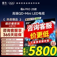雷鸟 85英寸 鹤6 PRO 25款（PLUS版） MiniLED 满血机芯一级能效 家电国家补贴  85英寸 无开机广告 85S595C Pro