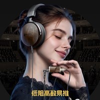 雪漫天FiiO/飞傲 NATURE自然头戴式有线耳机高保真HIFI线控带mic耳塞 金檀黑
