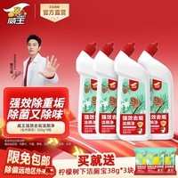 威王（vewin）洁厕灵 除重垢洁厕剂洁厕液除臭厕所马桶清洁除菌剂洁厕 【松木清香】强效洁厕4瓶