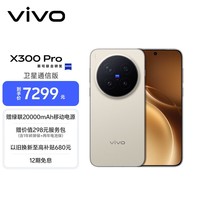 vivo X300 Pro 卫星通信版 16GB+1TB 旷野棕 蔡司2亿APO超级长焦 蓝图影像双芯 拍照 AI手机