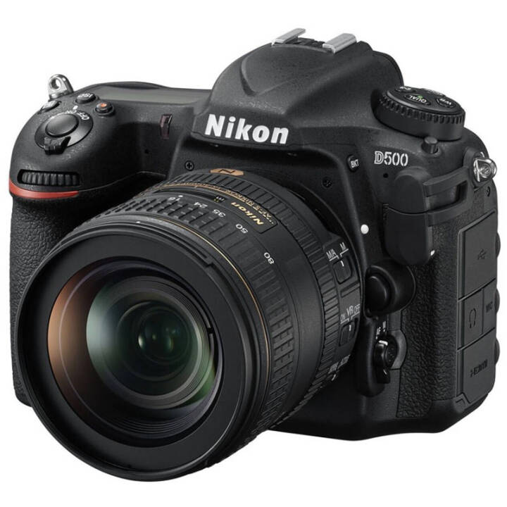 ῵NikonD7500뵥 / D500뵥׻ רҵ뻭 D500+16-80׻ͼƬ