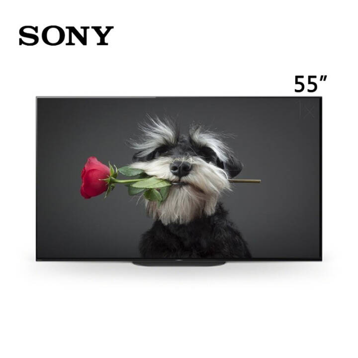 ᣨSONYKD-55A9G 55Ӣ OLED X1콢оƬ AI űȫ ҺͼƬ