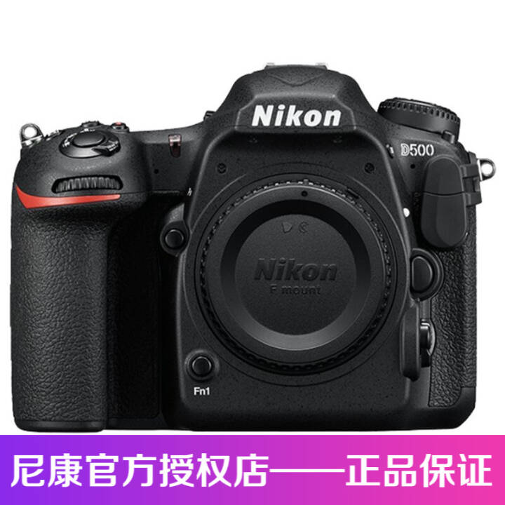 ῵NikonD500  D500(ͷ)ͼƬ