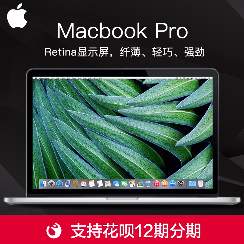 ƷСApple/ƻ MacBook Pro MJLQ2CH/AʼǱ/15Ӣ/256GЯ칫ʼǱȫͼƬ