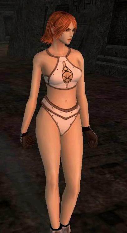 组图游戏裸体补丁横行网络趋于泛滥