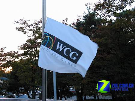 什么是WCG 
