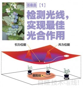 ձƼ"ϵ" 軹ǻˣ 