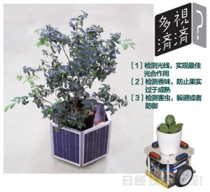 ձƼ"ϵ" 軹ǻˣ 