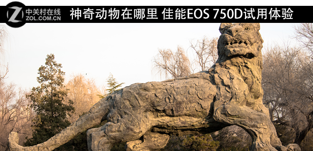 涯 EOS 750D 