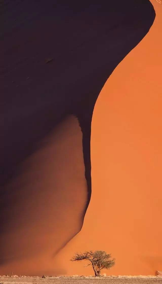 摄影师精选最适合竖向构图的拍摄场景