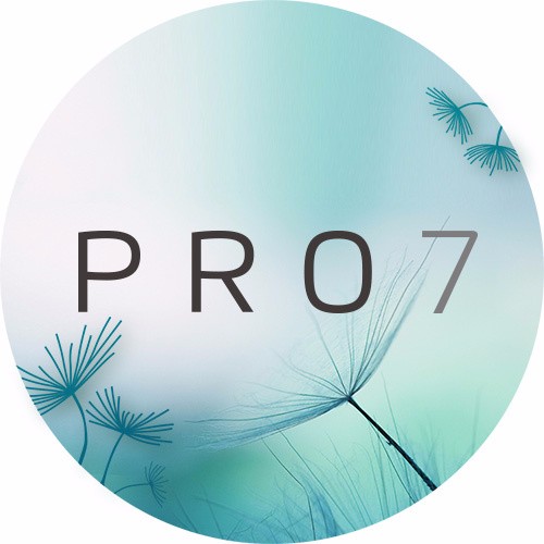 ʮշ PRO 7ٷ