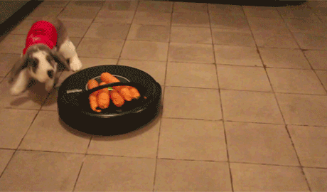 ˶ɨػ峵 ȴھ 