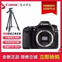 ܣCANON EOS70D/80D/700D/7D2/760D/200D/800D뵥 80D +18-200 IS+ӰײͼƬ