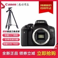 ܣCANON EOS70D/80D/700D/7D2/760D/200D/800D뵥 750D  EF-S 18-135 IS USMͷͼƬ