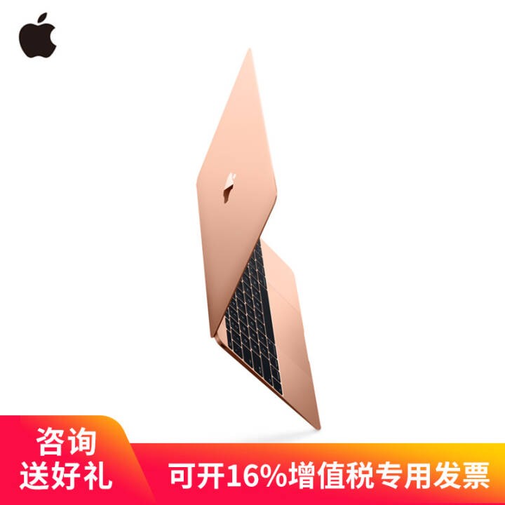 Apple MacBook 12ӢƻʼǱ 2018 ɫ ˫ 8Gڴ m3+256G̬ MRQN2CH/AͼƬ