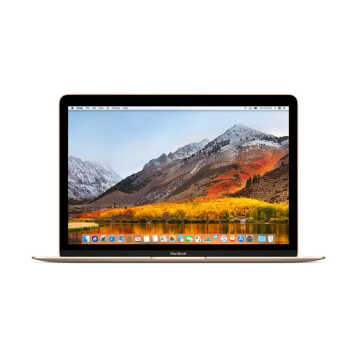 Apple MacBook 12ӢʼǱ ɫ2017Core i5 /8GBڴ/512GB MNYL2CH/A