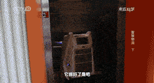 ƵĲֿ ڿƼĿ 