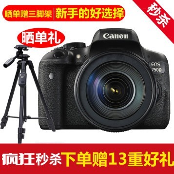 EOS 750D뵥 ѧרõ׻ ͷ ٷ