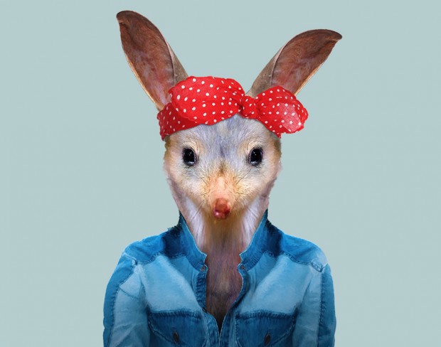 动物也新潮 当时尚服装遇见野生动物