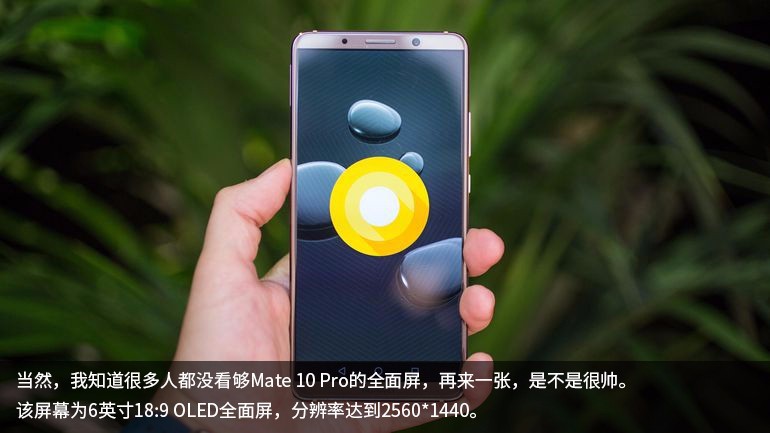 һٶΪMate 10 Pro˵