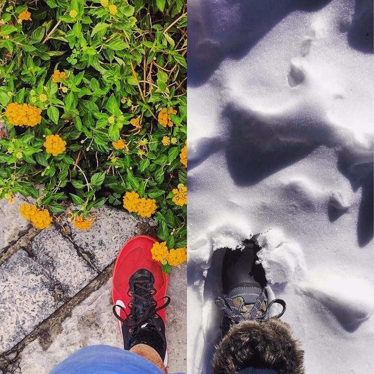 Ƭˣ