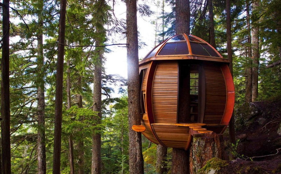 secret hemloft    joel allen 将这座房子建在了健壮的铁杉树树干