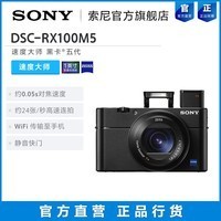 [ٷ콢]Sony/ DSC-RX100M5 ڿ  RX100V