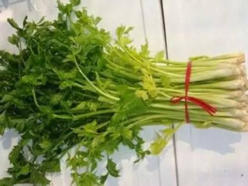 太新鲜!无公害芹菜两捆,年夜饭时完全可以炒着吃啦!!