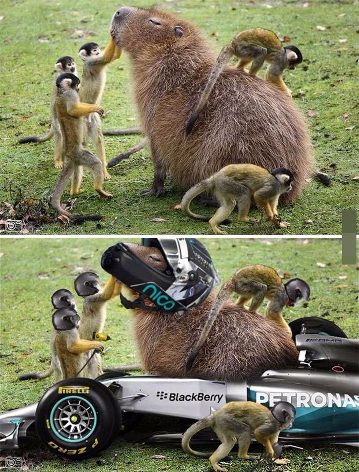 Ȼͼ ЩPSͼΥ͸