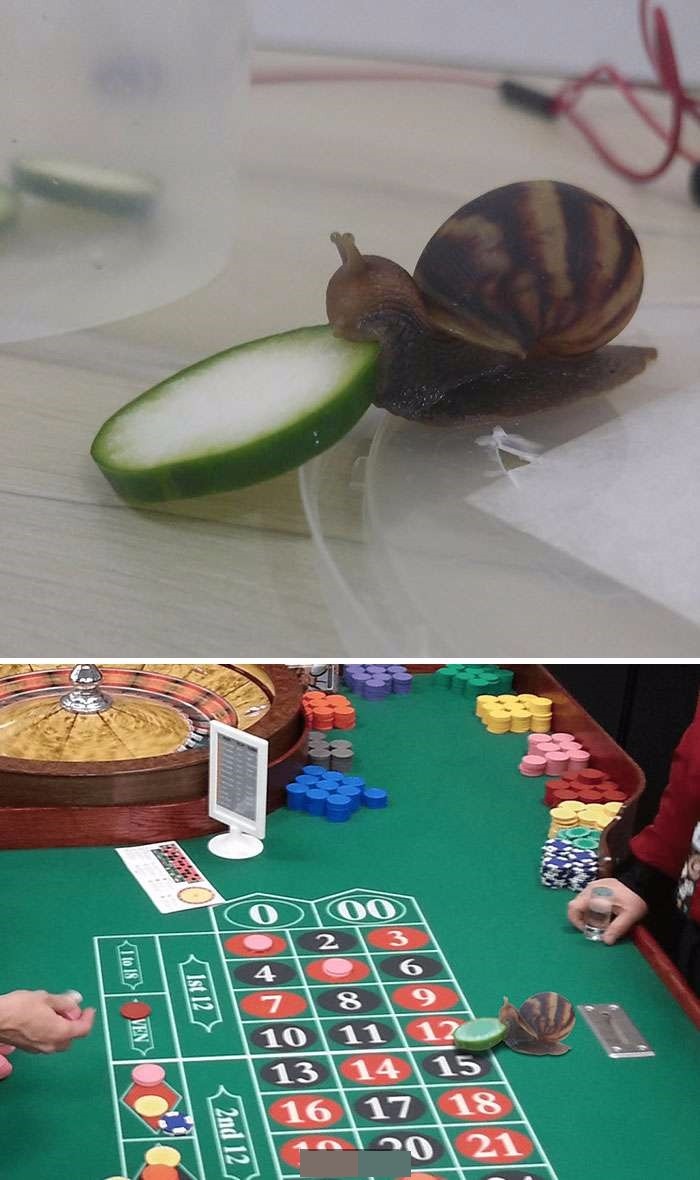 Ȼͼ ЩPSͼΥ͸
