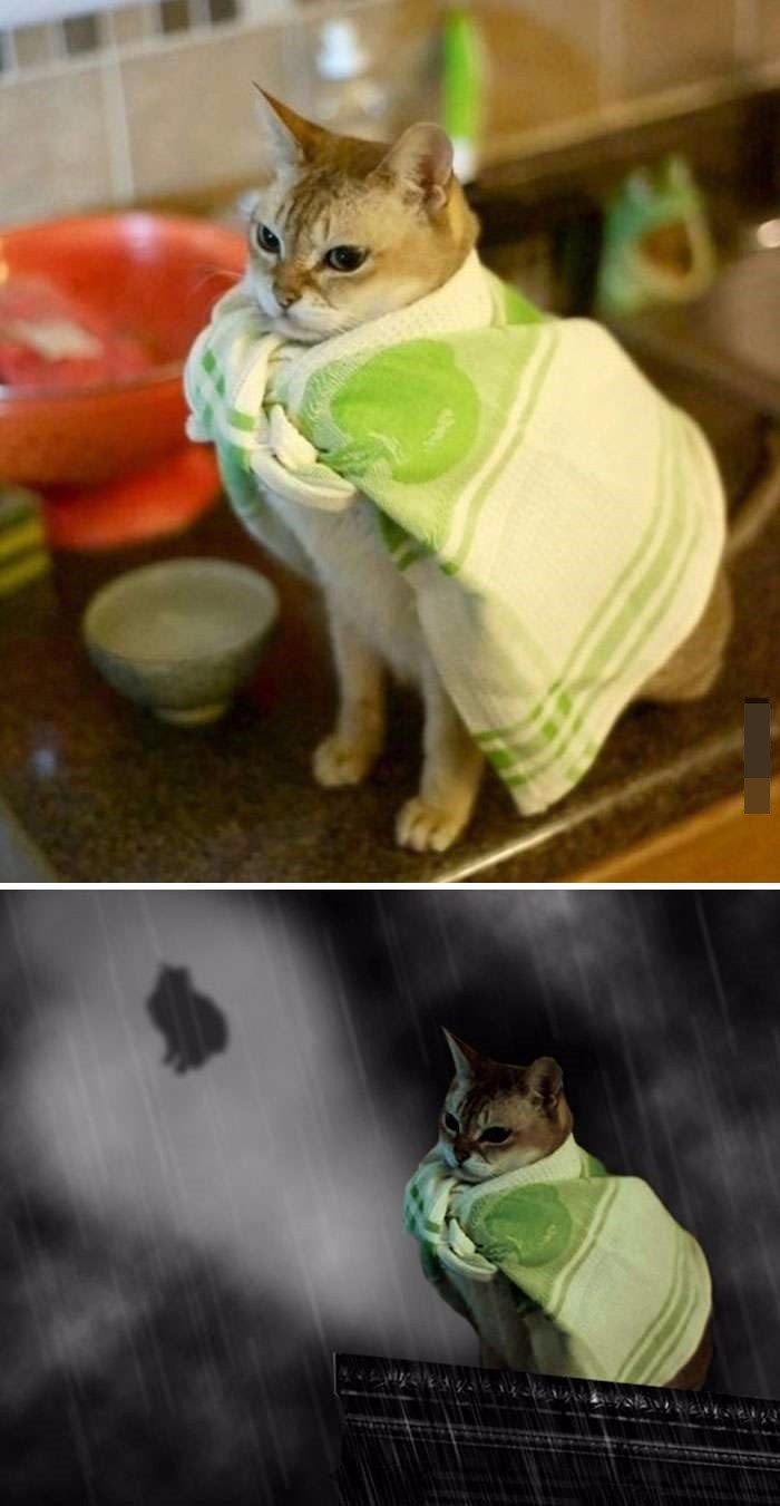 Ȼͼ ЩPSͼΥ͸