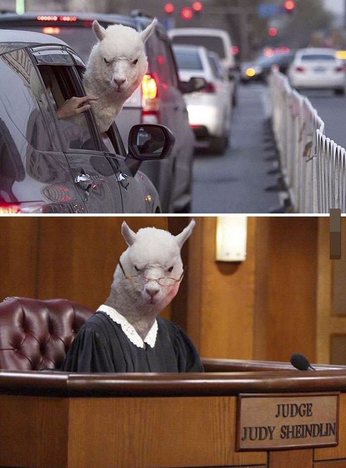 Ȼͼ ЩPSͼΥ͸
