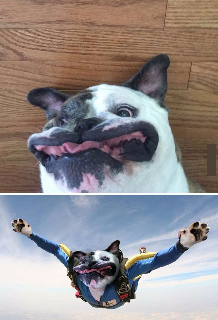Ȼͼ ЩPSͼΥ͸