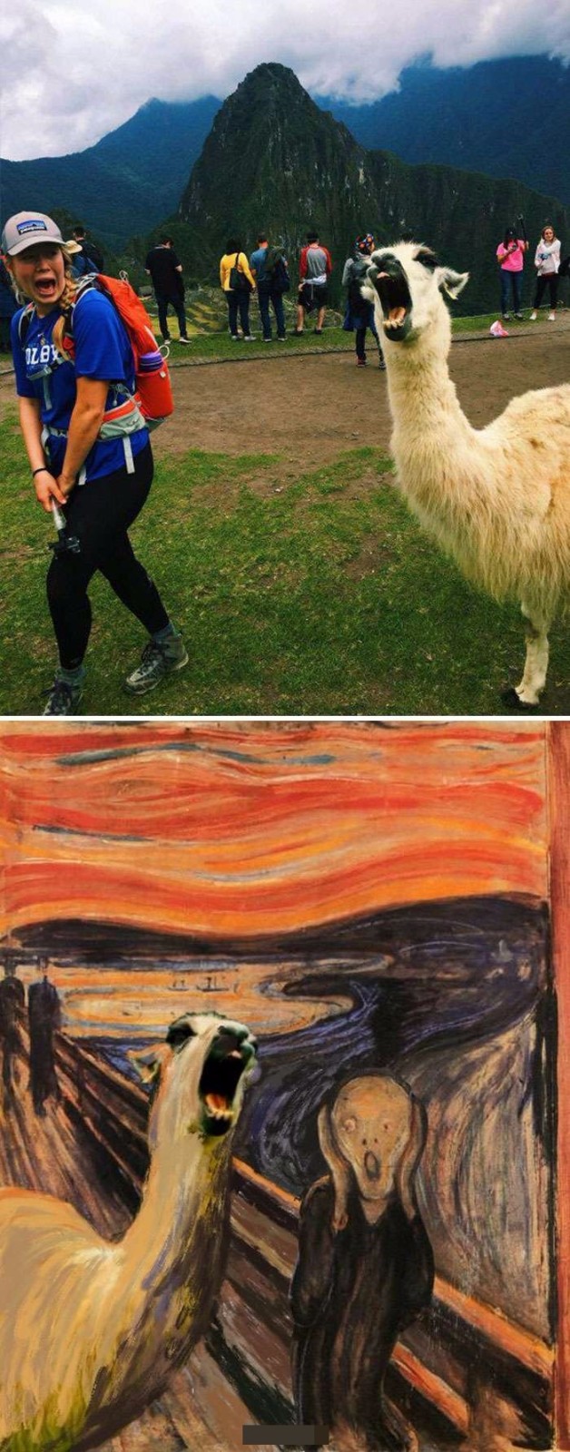 Ȼͼ ЩPSͼΥ͸
