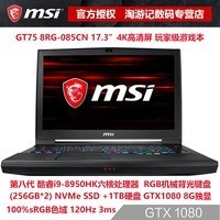 MSI/΢ GT75 8RG-085CN i9-8950HK GTX1080 8G 4K羺ϷͼƬ