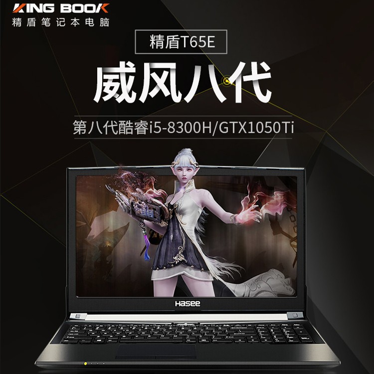 Hasee/  KING BOOK T65EʼǱ԰˴I5ԼϷ