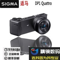 Sigma/ DP1 Quattro DP1Q  ʱڹͼƬ