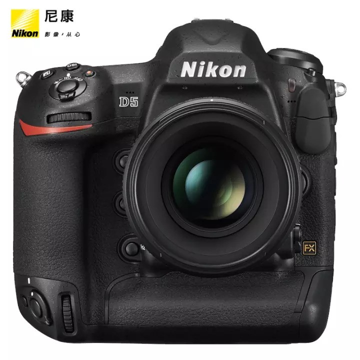 ῵Nikon D5  רҵȫ׻ 콢CF