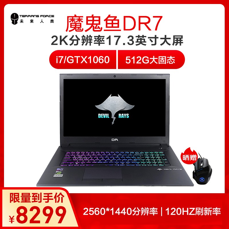 δࣨTerrans ForceħDR7-PLUS 17.3Ӣ120HZϷѧʼǱԣ i7-8750H 512GB GTX1060 RGḄͼƬ