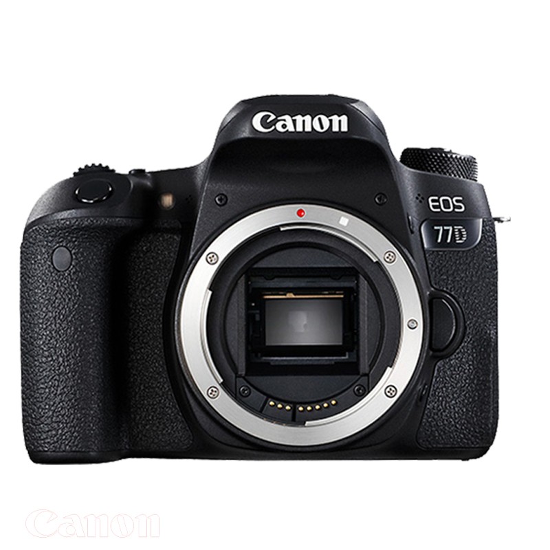 Canon/ EOS 77D ͷ 뵥77DͼƬ