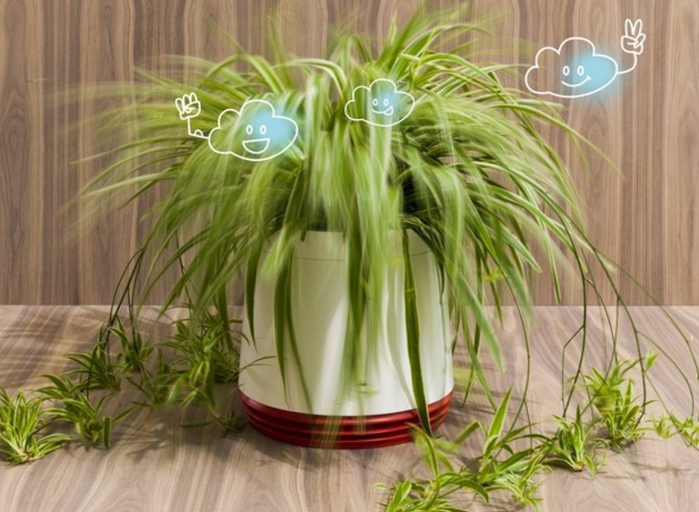 Airy˼йֲȻãֲͨԶ