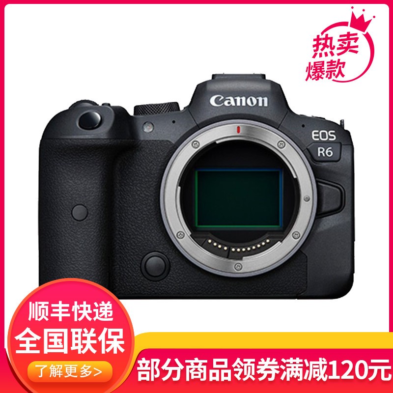 (Canon)EOS R6 ȫרҵ΢ RF 24-70mm F2.8 L IS USMͷװ 201ͼƬ