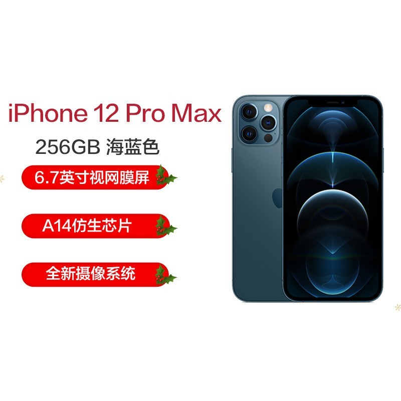 ƻ/Apple iPhone 12 Pro Max 256G ɫ ƶͨ5Gȫֻͨ A2412ͼƬ