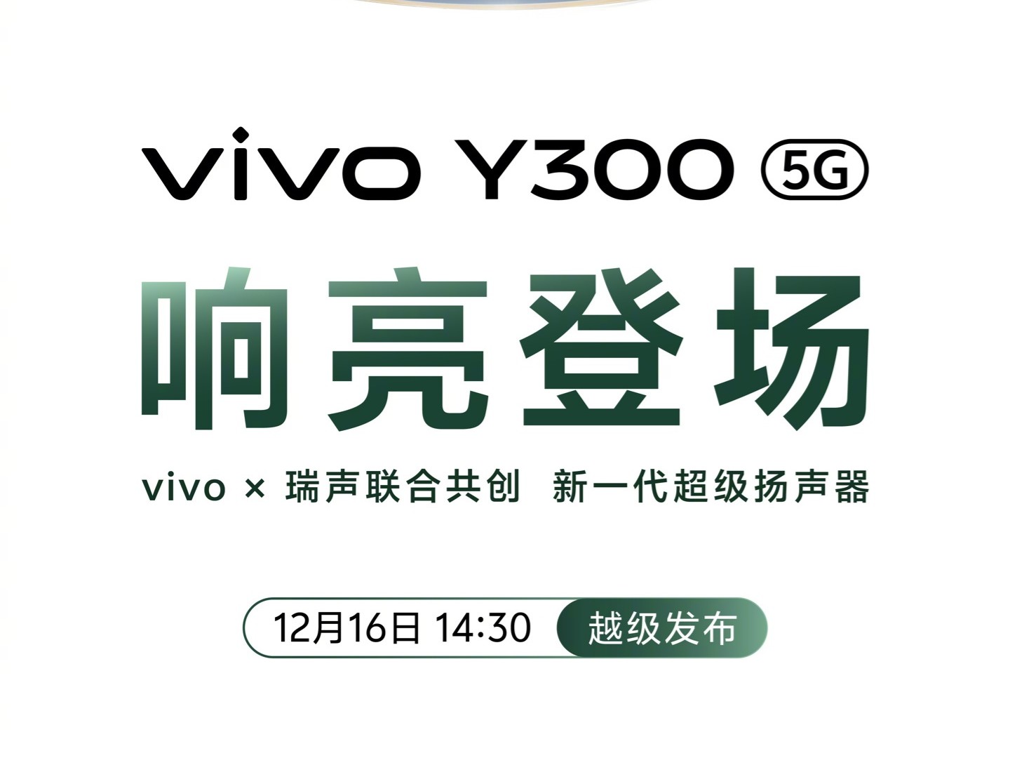 ֻع飺vivo Y300һ