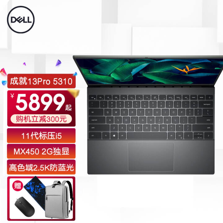 ʼǱdell 13Pro5310ᱡ칫13.3Ӣɫ2.5KWIN11 11ѹi5-11320H MX450 2G 16Gڴ 1T̬  魻ͼƬ