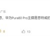 ΪPura 80ϵ6·عһӢϵͳ