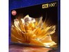 100Ӣ4T - C100GN7000A15999Ԫ